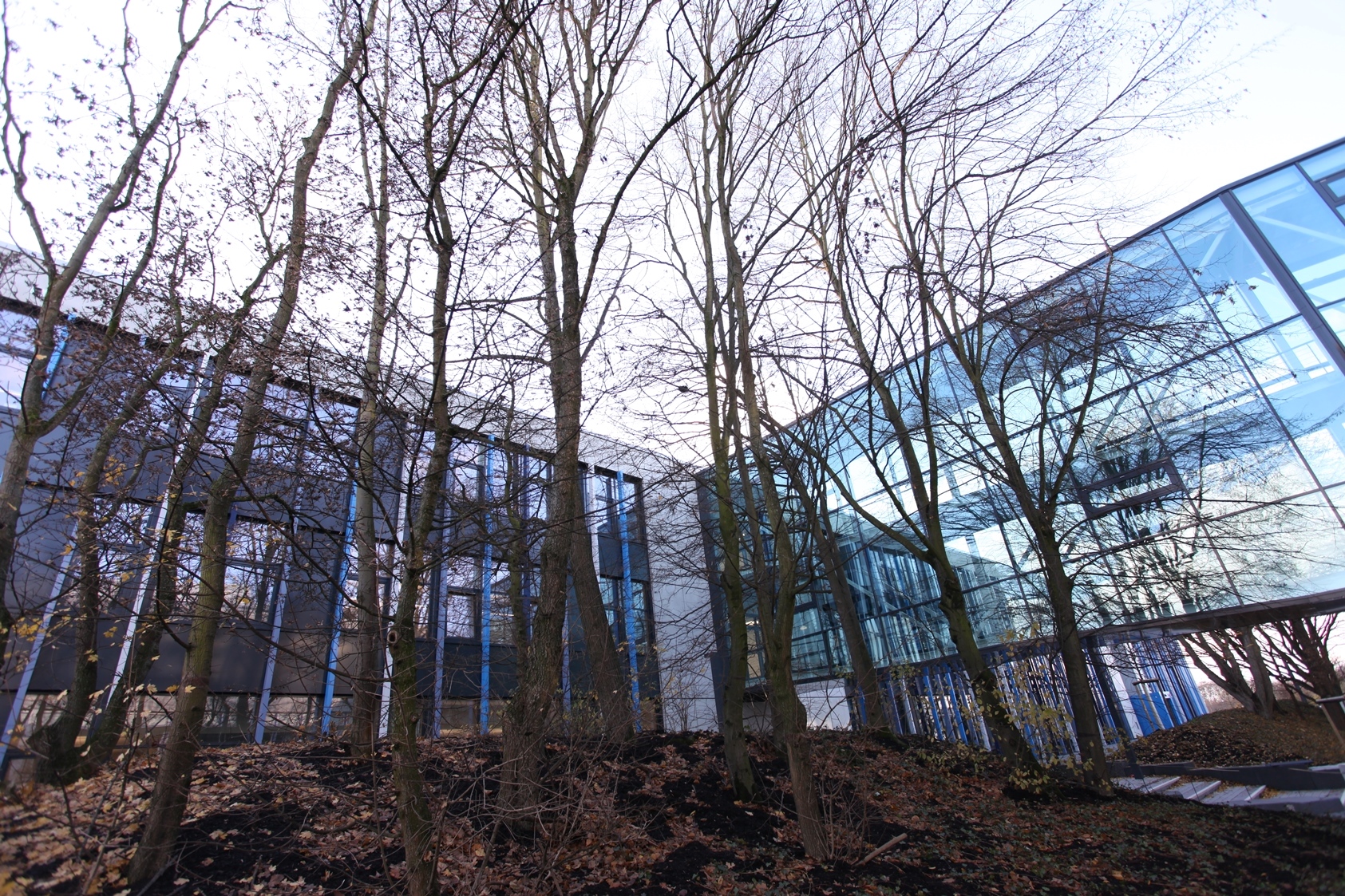 Neubauten der Hochschule 2017 (Galerie) Hochschule BonnRheinSieg (HBRS) Neubauten der Hochschule 2017 (Galerie) Hochschule BonnRheinSieg (HBRS)