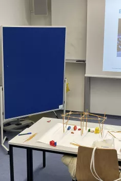 Seminar aus MBA CSR&NGO Management