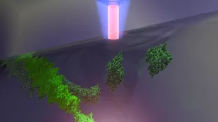 Forschungsprojekt Analyseplattform