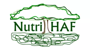 Logo Forschungsprojekt NutriHAF