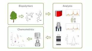 Quantitative Analyse von Biopolymeren mittels Molekülspektroskopie kombiniert mit chemometrischen Methoden