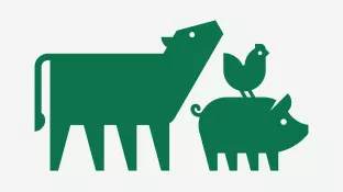 Nutztierstrategie Projekt IZNE