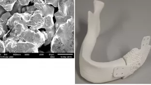 fb05_bild_forschungsprojekt_fe-sem-micro-ct_witzleben.png (DE)