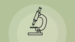 Forschung Inklusion