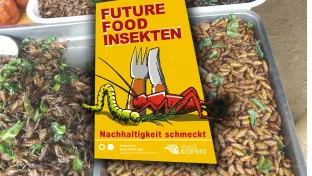 ctw_futurefood_logo_internet.jpg (DE)