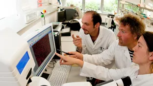 Studiengang Biomedical Sciences  (DE)