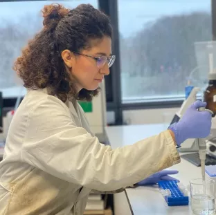 Doktorandin Atefeh Movasagh, IZNE