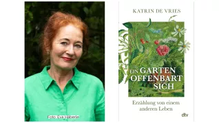 Katrin de Vries: Ein Garten offenbart sich