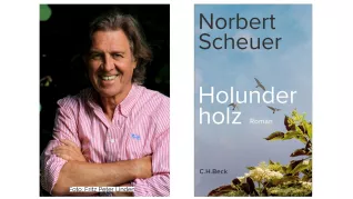 Norbert Scheuer (c) Fritz Peter Linden und Buchcover "Holunderholz"