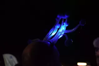 20190912_h-brs_fbinf_firmenlauf_sammler_oe-teaminf_img_054.jpg (DE)