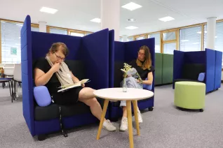 Bibliothek blaue Möbel