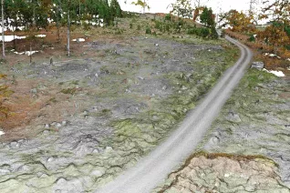 20231016_fbinf_Garrulus_high-quality_mesh_Ahmad_Drak.jpg
