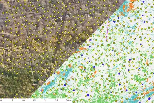 20231016_fbinf_Garrulus_seedplanning_Ahmad_Drak.png