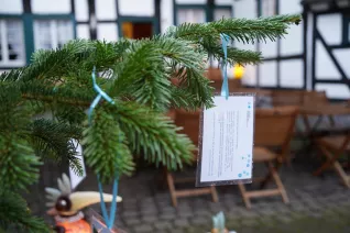 Start Wunschbaum Rheinbach 30. November 2023