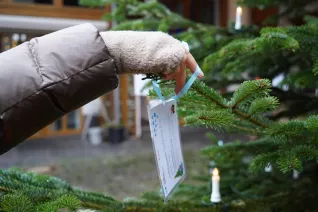 Start Wunschbaum Rheinbach 30. November 2023