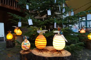 Start Wunschbaum Rheinbach 30. November 2023