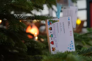 Start Wunschbaum Rheinbach 30. November 2023