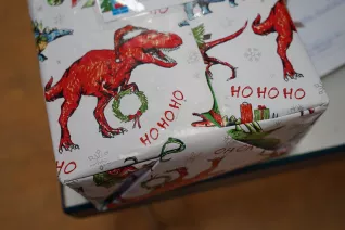 Geschenkeausgabe Wunschbaum Sankt Augustin und Rheinbach 2023