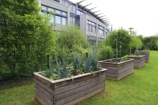 Campusgarten Fruehling mit Iris Gross StA 20250425 Foto Juri Kuestenmacher 05.JPG