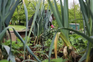 Campusgarten Fruehling mit Iris Gross StA 20250425 Foto Juri Kuestenmacher 42.JPG