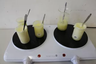 Kinderuni Gummibaerchen mit Guido Krause StA 20250403 Foto Caro Jahn 32.JPG