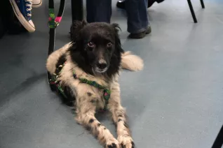 Tag des Offenen Projekts IWK StA 20260123 Foto Jonathan Schmitt 15.JPG