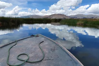 Wiltrud Terlau Austausch Peru 2026