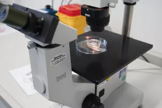 UniStem Day Rheinbach Mirle Schemionek 2026-03-20_Foto martin Schulz (160).JPG