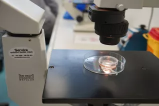 UniStem Day Rheinbach Mirle Schemionek 2026-03-20_Foto martin Schulz (88).JPG