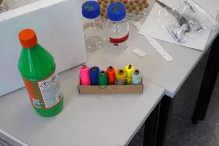 Kinderuni Geheimnis der Gene Rhb 20260423 Foto Juri Kuestenmacher 061.JPG