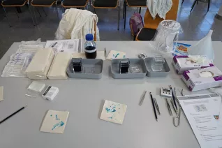 Kinderuni Geheimnis der Gene Rhb 20260423 Foto Juri Kuestenmacher 083.JPG