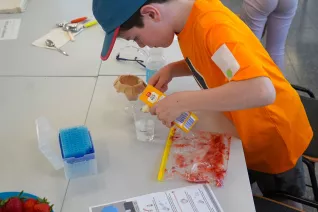 Kinderuni Geheimnis der Gene Rhb 20260423 Foto Juri Kuestenmacher 106.JPG