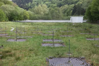 kinderuni_effelsberg_20160512_foto_e._tritschler_img_0415.jpg (DE)