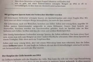 kinderuni_rhb_zahlen_jaeger_20190221_foto_c._pesch_06.jpg (DE)