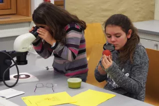 kinderuni_rheinbach_mikroskop_20160211_foto_m._flacke_p2110366.jpg (DE)