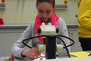 kinderuni_rheinbach_mikroskop_20160211_foto_m._flacke_p2110372.jpg (DE)