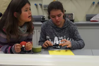 kinderuni_rheinbach_mikroskop_20160211_foto_m._flacke_p2110374.jpg (DE)