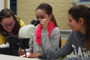 kinderuni_rheinbach_mikroskop_20160211_foto_m._flacke_p2110398.jpg (DE)