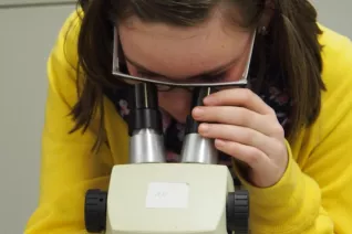 kinderuni_rheinbach_mikroskop_20160211_foto_m._flacke_p2110421.jpg (DE)