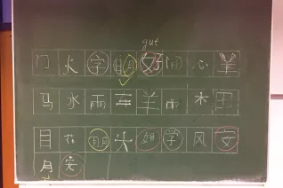 kinderuni_sta_chinesisch_23.11.17_2.jpg (DE)