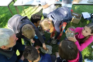 kinderuni_sta_gaertnern_umweltschutz_20220428_foto_juri_kuestenmacher_092.jpg (DE)
