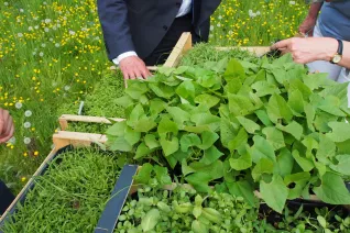 kunstorte_nr_14_sta_20160511_foto_y._weber_15.jpg (DE)