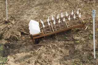 kunstorte_nr_14_sta_20160511_foto_y._weber_22.jpg (DE)