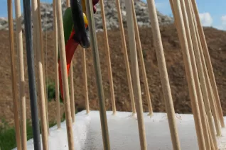 kunstorte_nr_14_sta_20160511_foto_y._weber_32.jpg (DE)