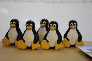 20170819_fbinf_froscon_kw_bild024.jpg