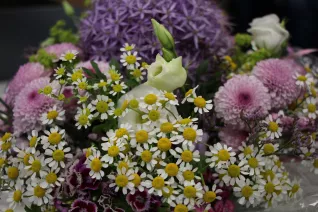 20190612_fbinf_verabschiedung_marlis_vonderhude_kw_011.jpg (DE)