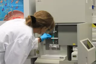 Labor Biologie Kapillarelektrophorese