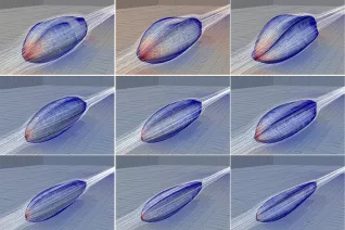 sailshapes.png (EN)