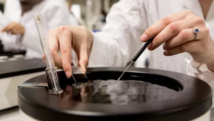 anna praktikum biologie volk Rhb Halle K 20220519 foto eric lichtenscheidt 57 fs22.jpg