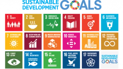 Goals Sustainable Development Grafik